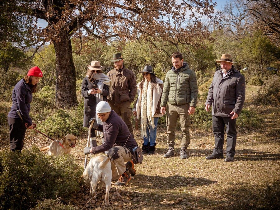 23 natural history museum meteora mushroom museum.jpg